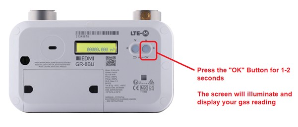 Smart Gas Meter
